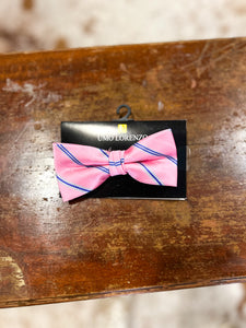 Pattern Banded Bow Ties