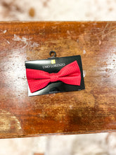 Load image into Gallery viewer, Pattern Banded Bow Ties