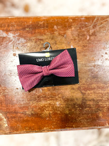 Pattern Banded Bow Ties